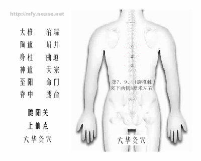 背部穴位图